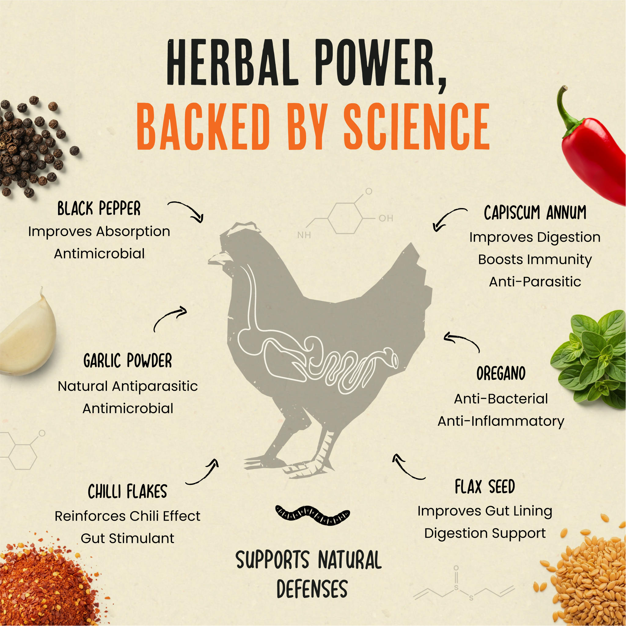 Flock Armor | Daily Chicken Dewormer | Flock Gut Support