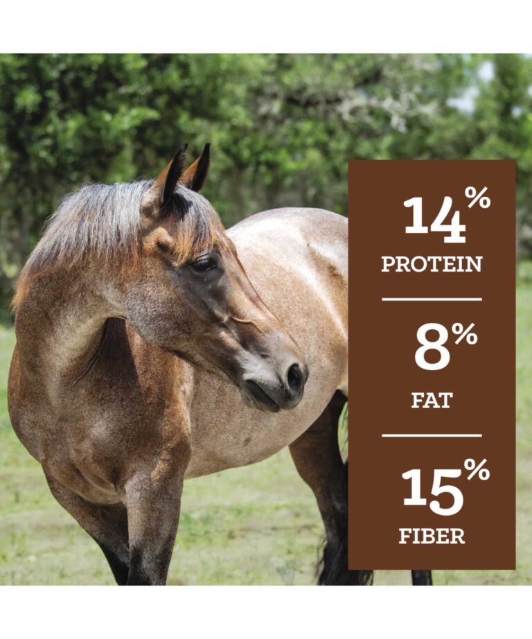 Nutrena Safechoice - All Life Stages Pellet 50#