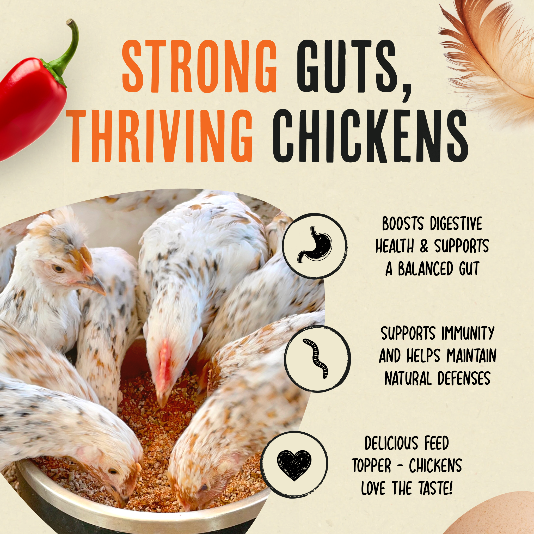 Flock Armor | Daily Chicken Dewormer | Flock Gut Support