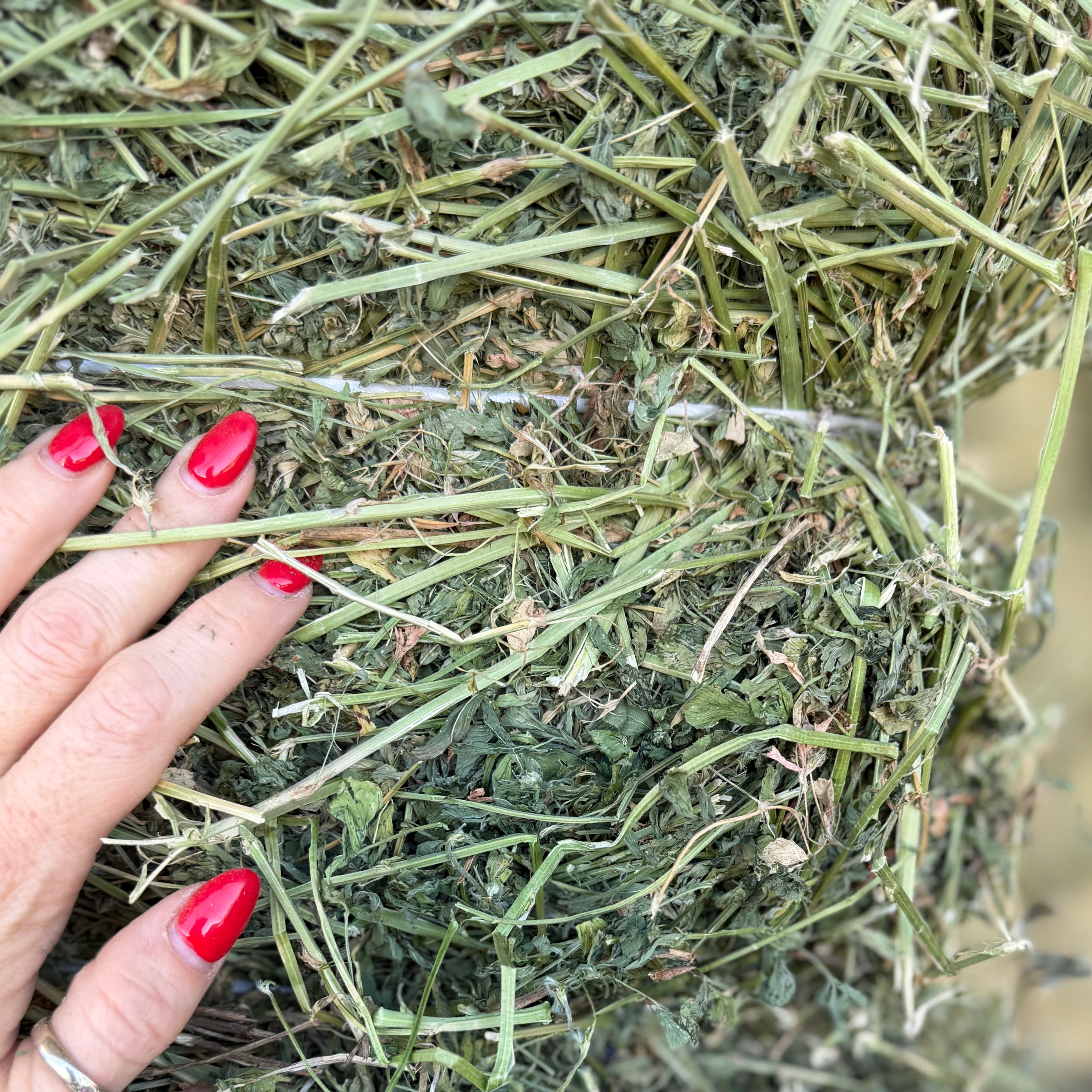 #1 Alfalfa $16.50