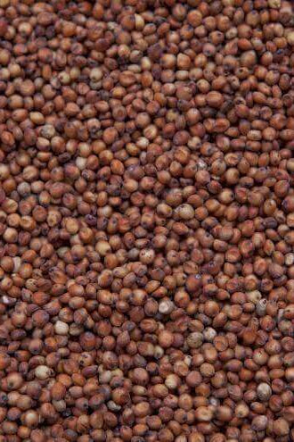 Grain -  Red MILO 50#