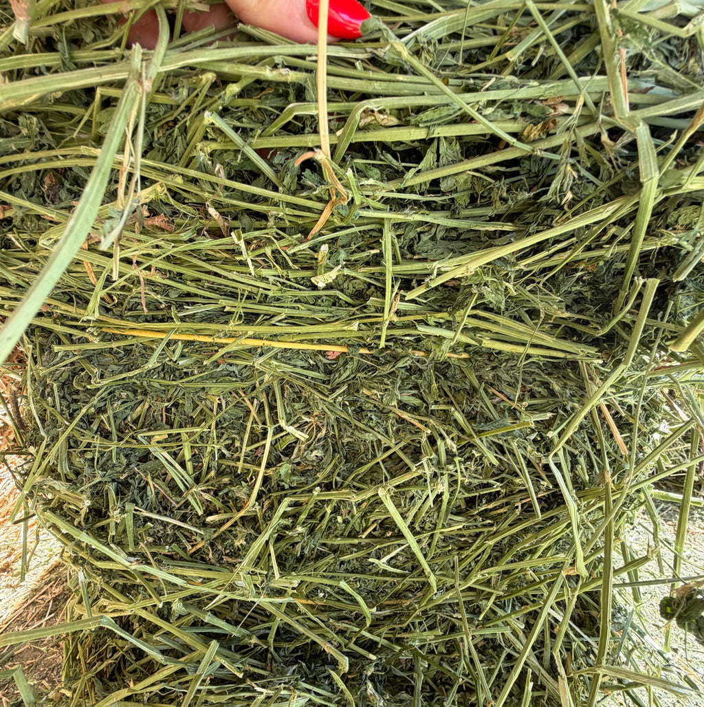 #2 Alfalfa $14.50
