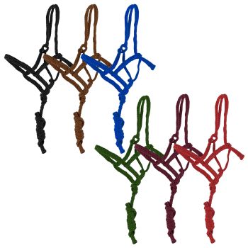 Halter - Showman Halter with Laed Rope