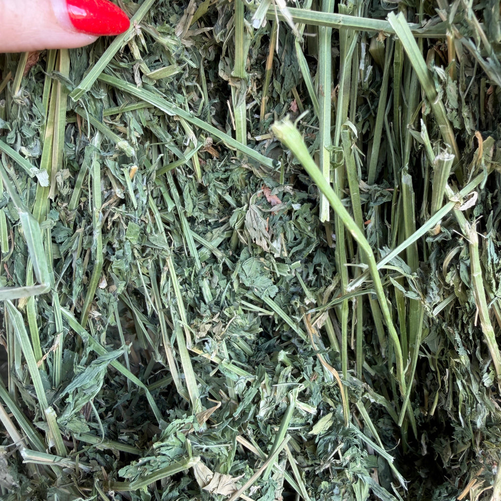 Alfalfa Livestock $12.50