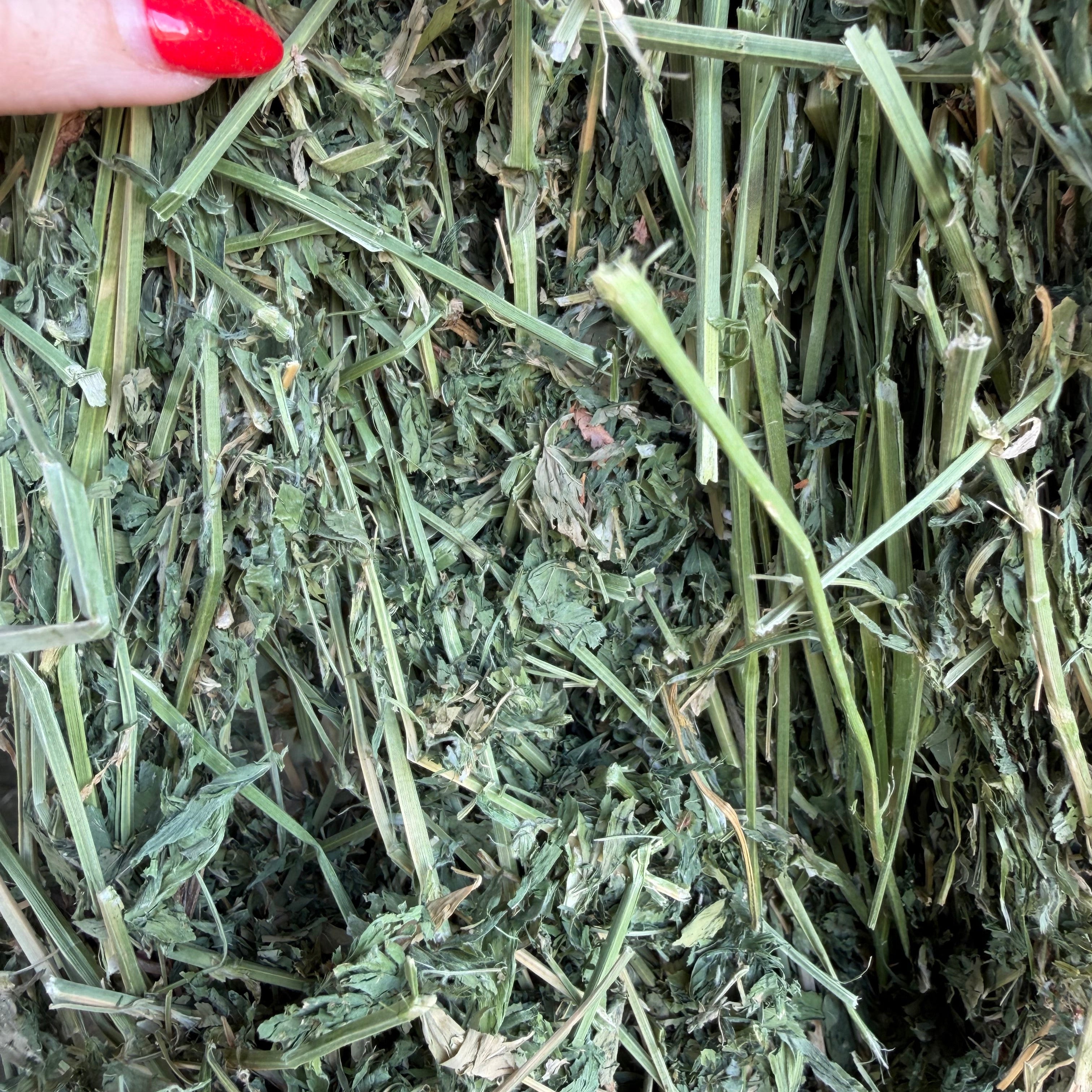 Alfalfa Livestock $12.50