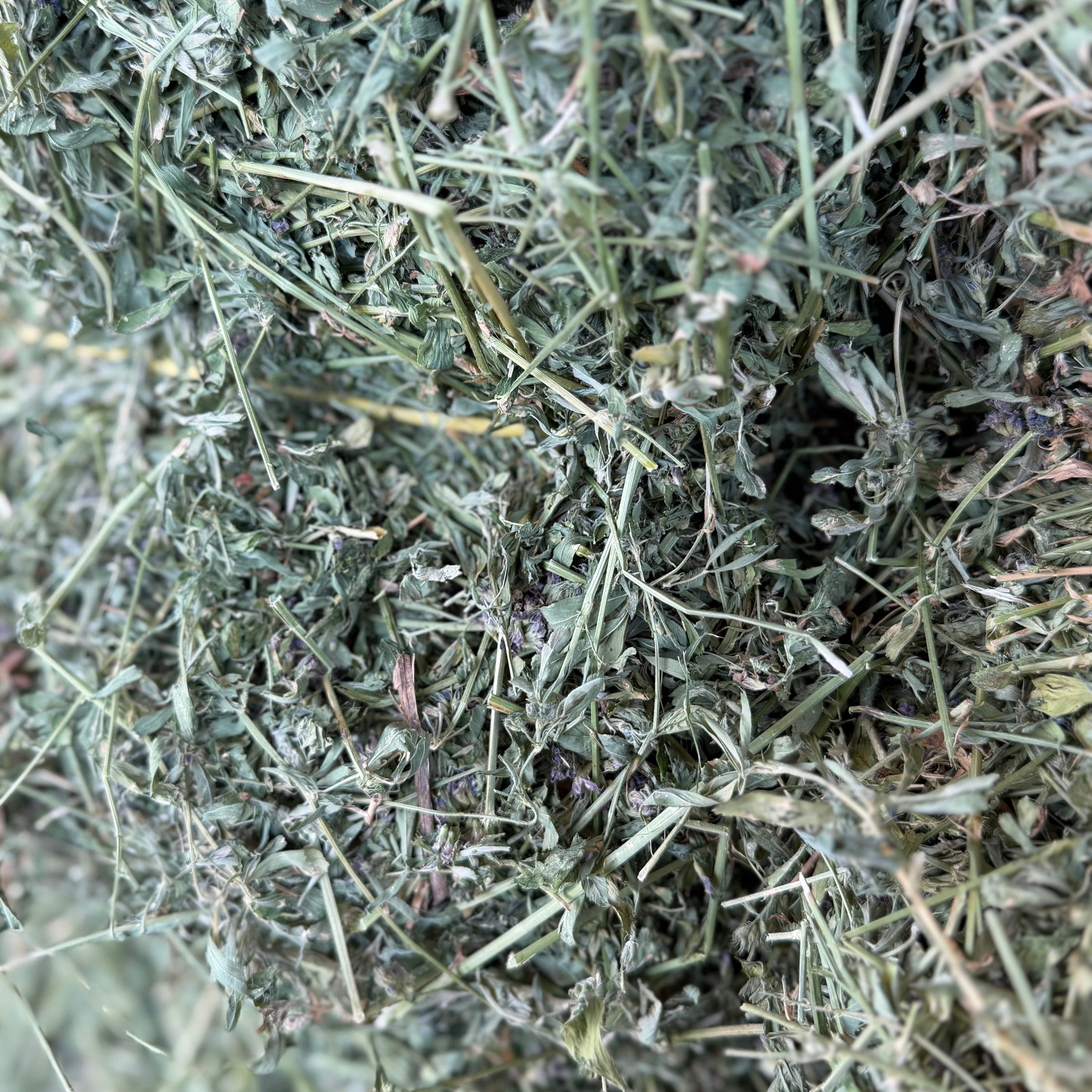 #1 Alfalfa $16.50