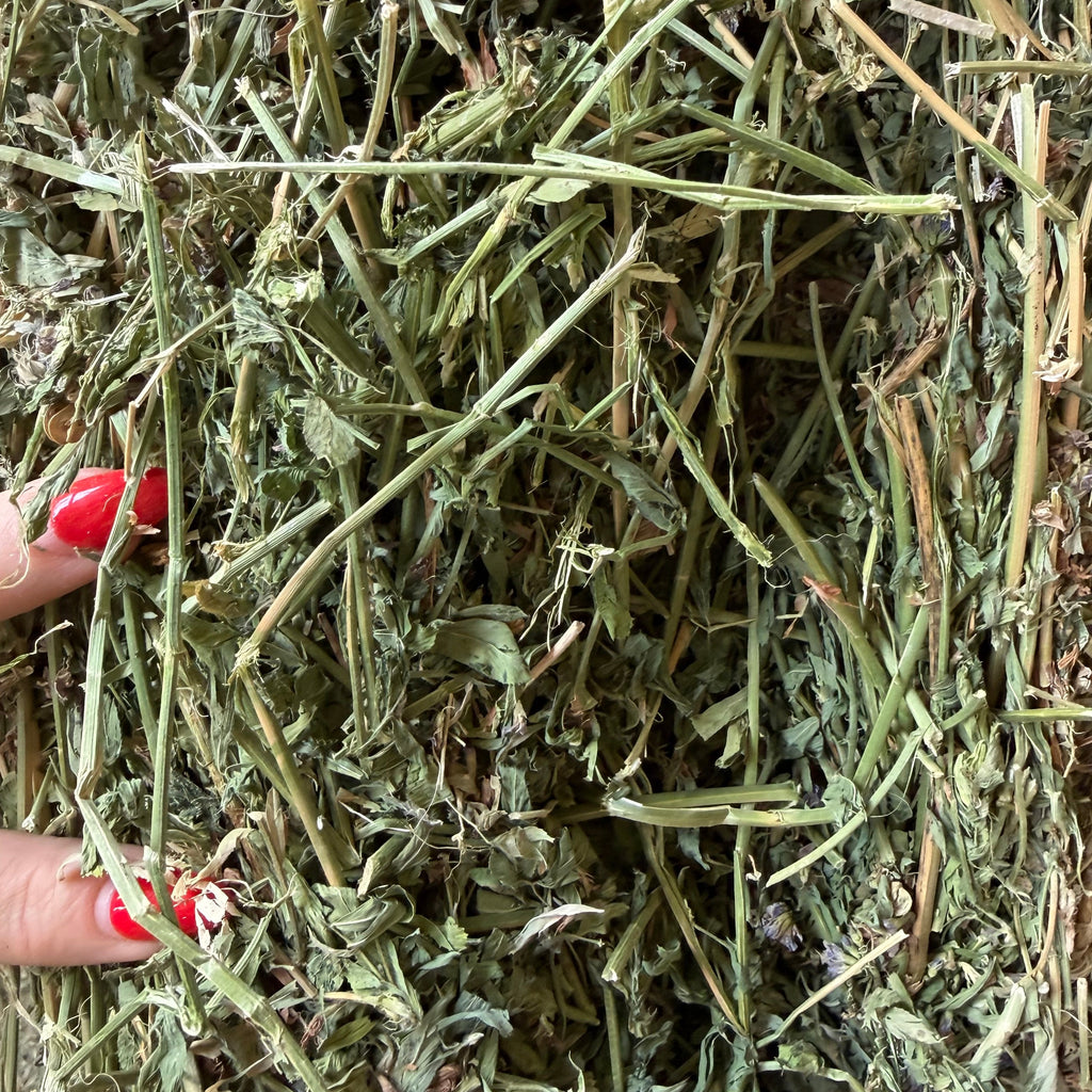 #2 Alfalfa $14.50