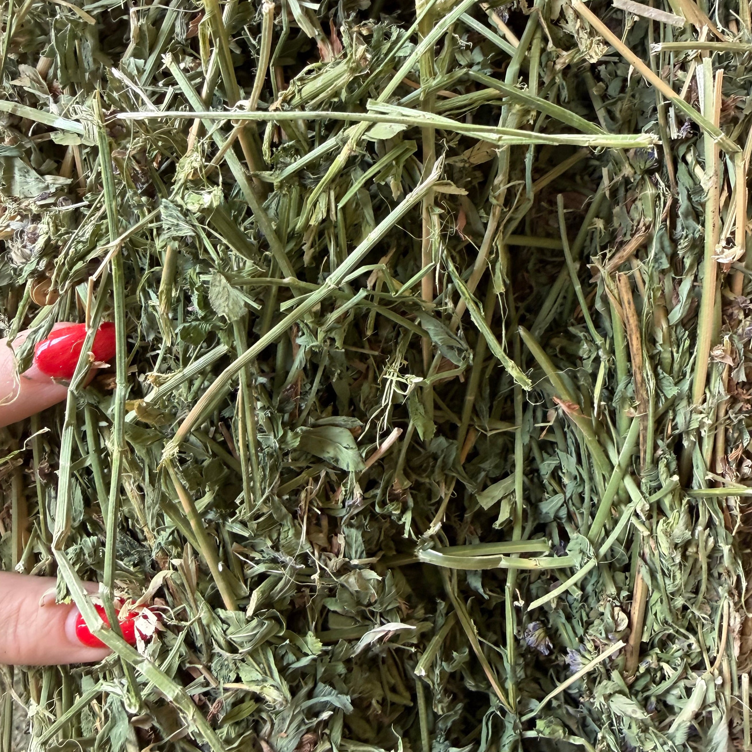 #2 Alfalfa $14.50