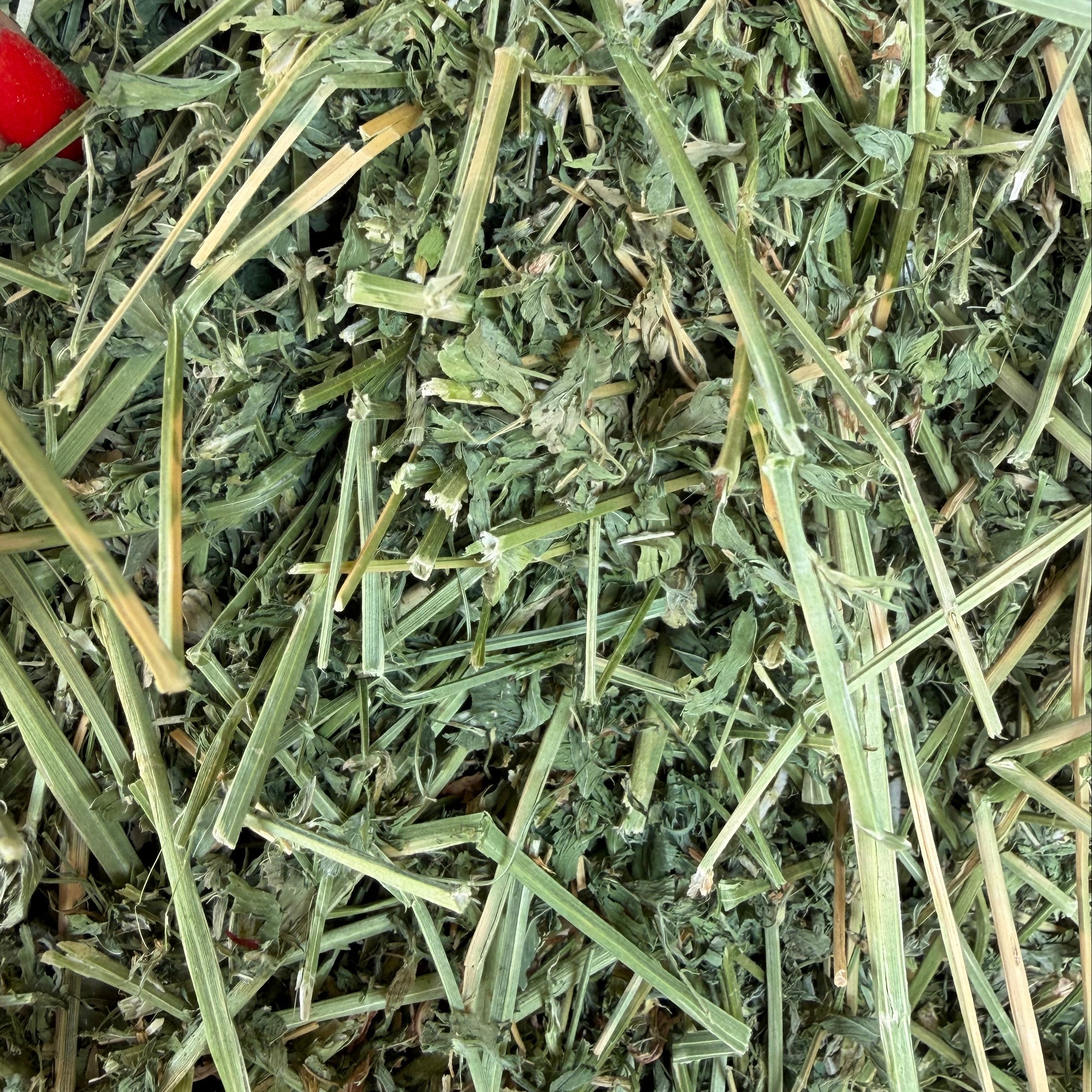 Alfalfa Livestock $12.50