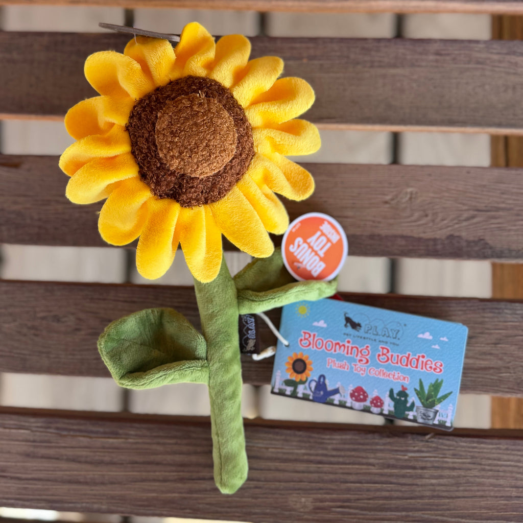 Sunflower Dog Toy