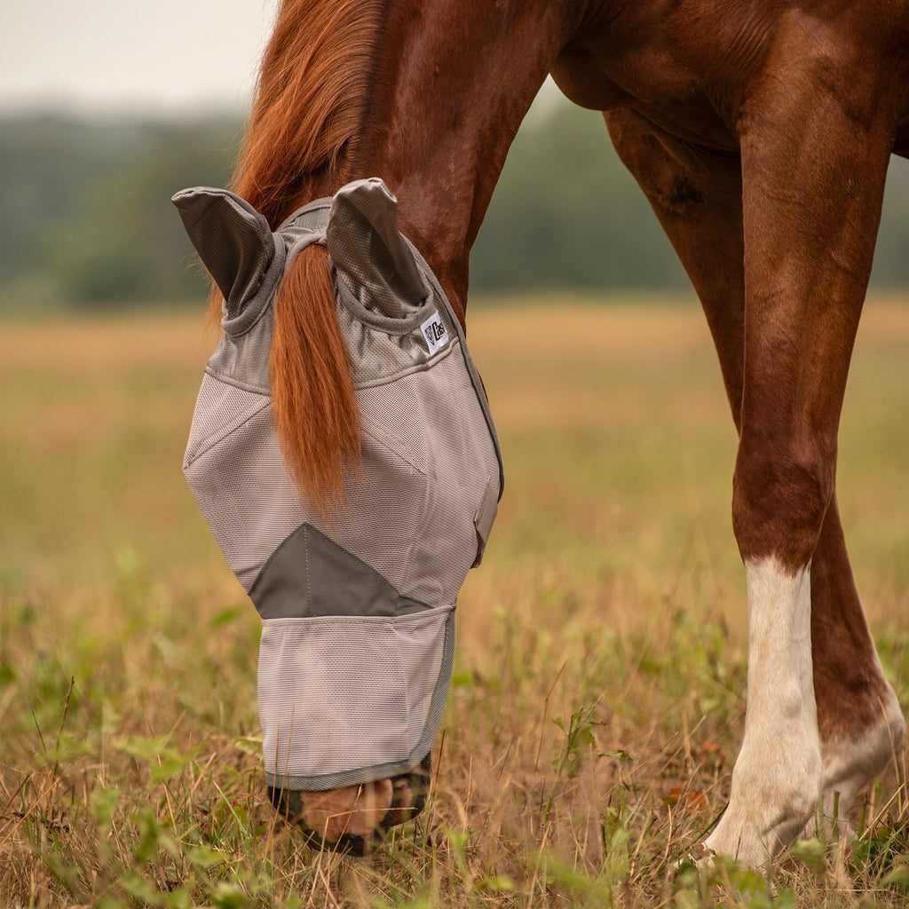 Crusader - Fly Mask with Ears & Nose