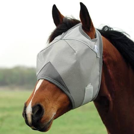 Crusader - Standard Fly Mask