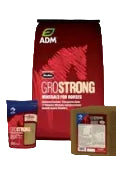 ADM - GroStrong Pail Horse Mineral #641BT - 25#
