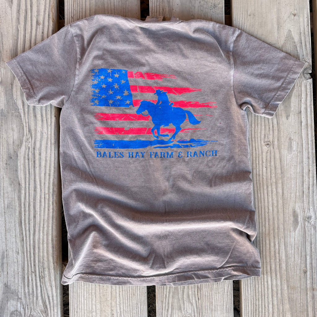Gray t-shirt with American flag and horse graphic on wooden slats