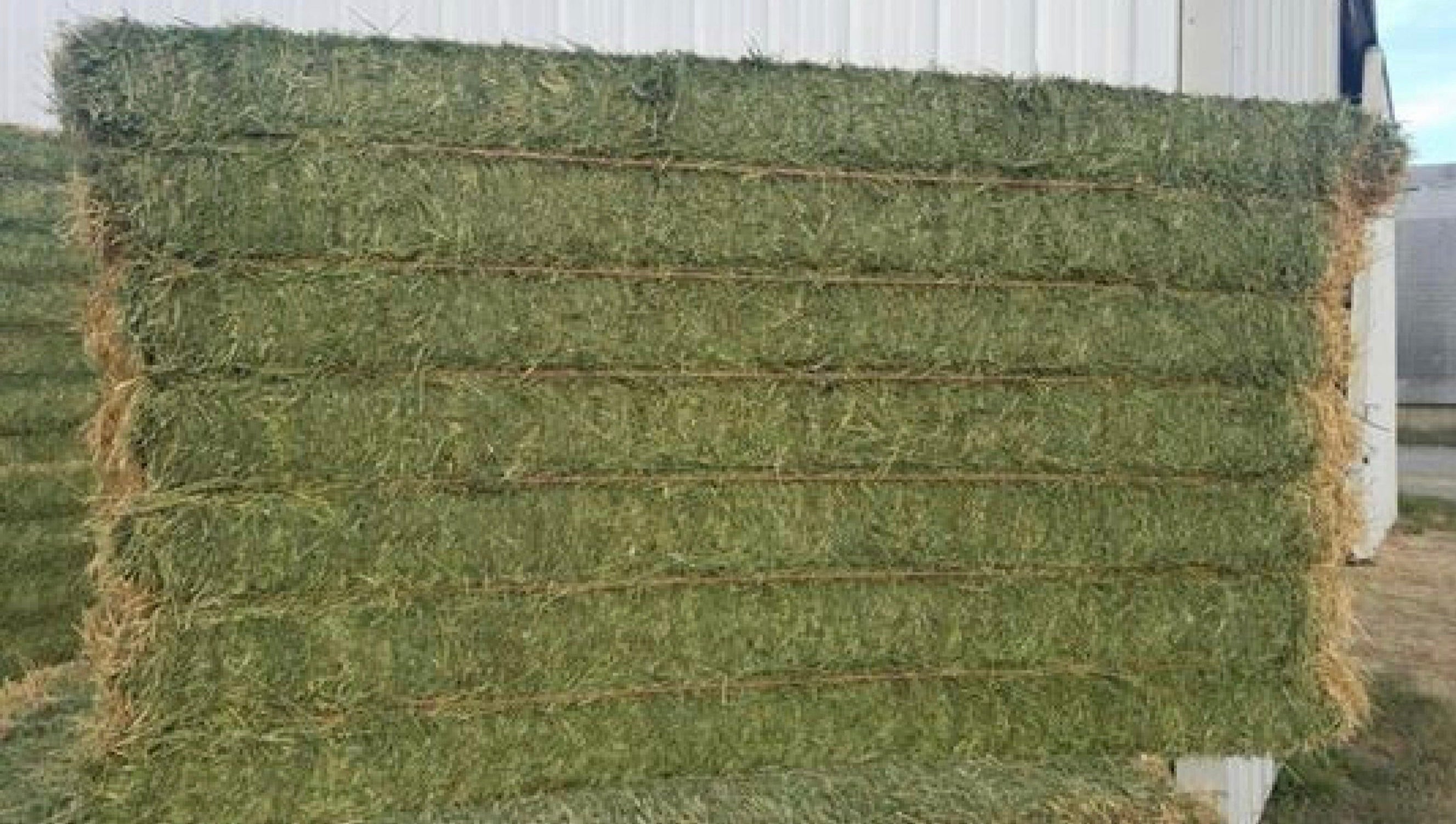 Alfalfa Big Bale $125