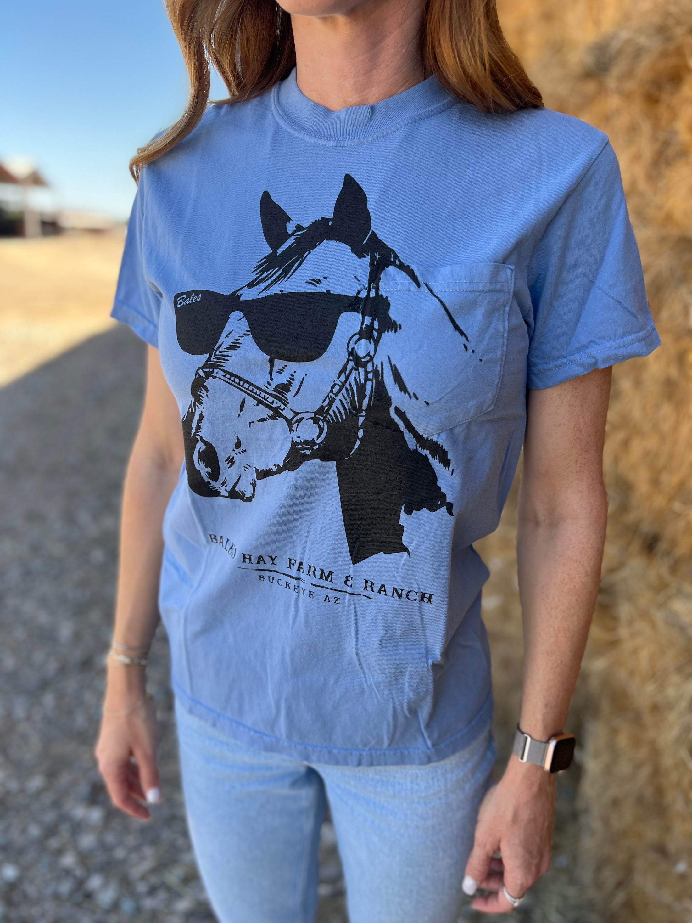 Groovin' American Style Horse w/Sunglasses T-Shirt Light Pocket