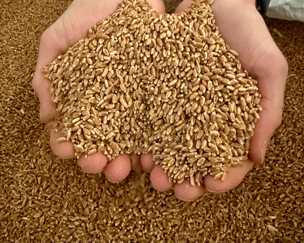 Lehi Roller Mills - Red Flaky Wheat Bran - 40#