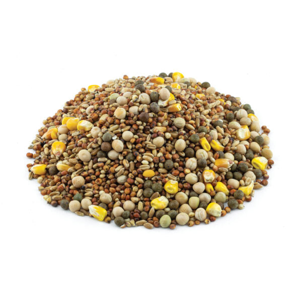 Kruse - Special pigeon with pop Corn - 50#