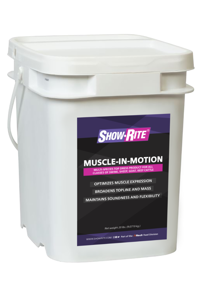 ShowRite - Muscle N Motion - 20#