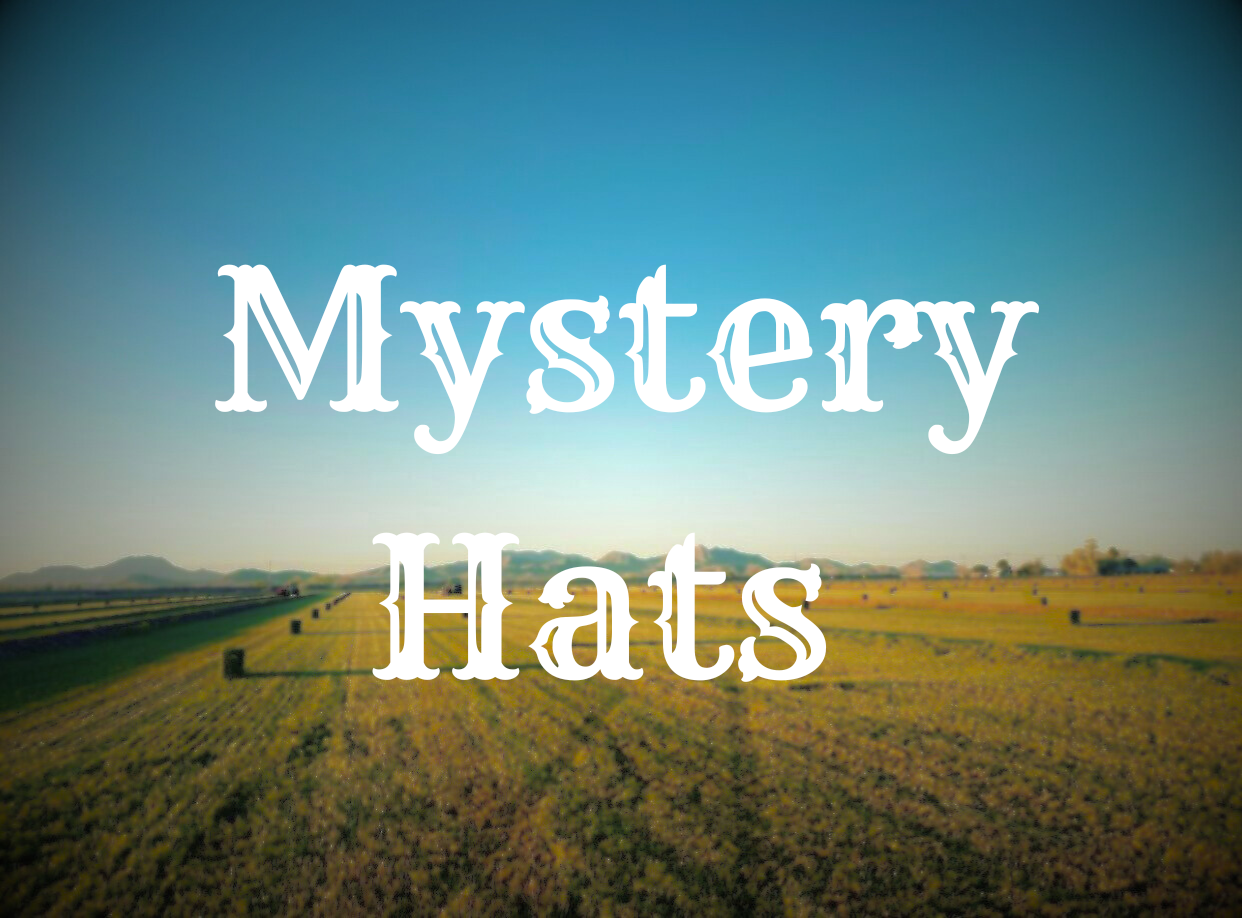 https://www.baleshay.com/cdn/shop/files/MysteryHats_1600x.png?v=1686531979