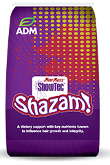 ADM - ShowTec Shazam #82000AAA1M - 22#