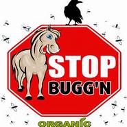 Stop Bugg'n - All Natural Fly Repellent