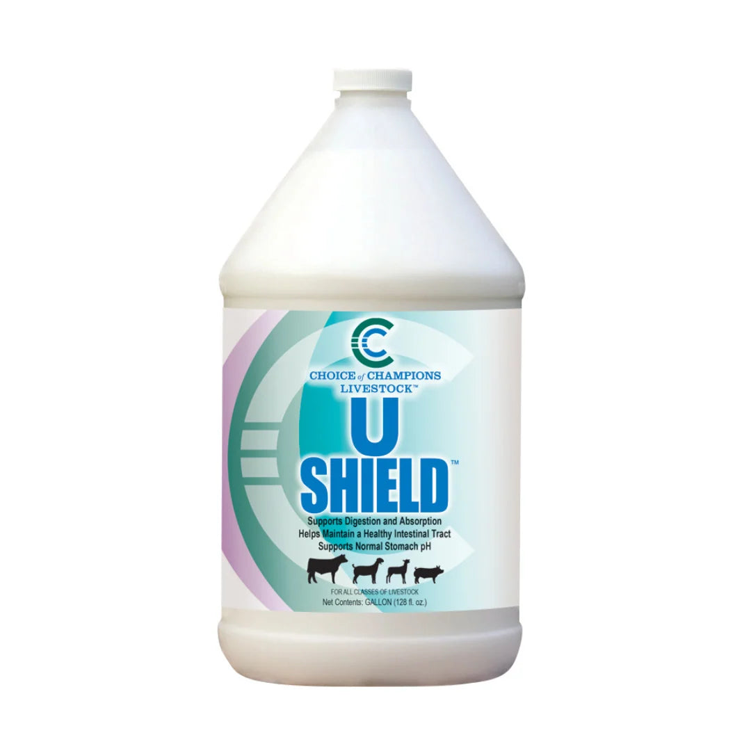 U Shield - Choice of Champions [Multiple Sizes]