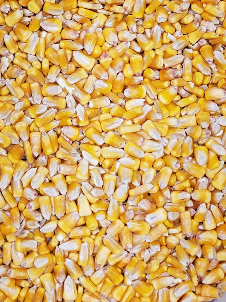 Homestead - 50# Whole Corn