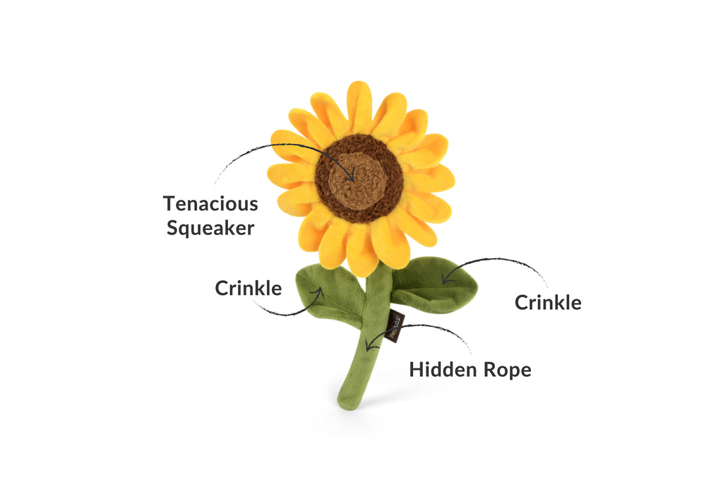 Sunflower Dog Toy