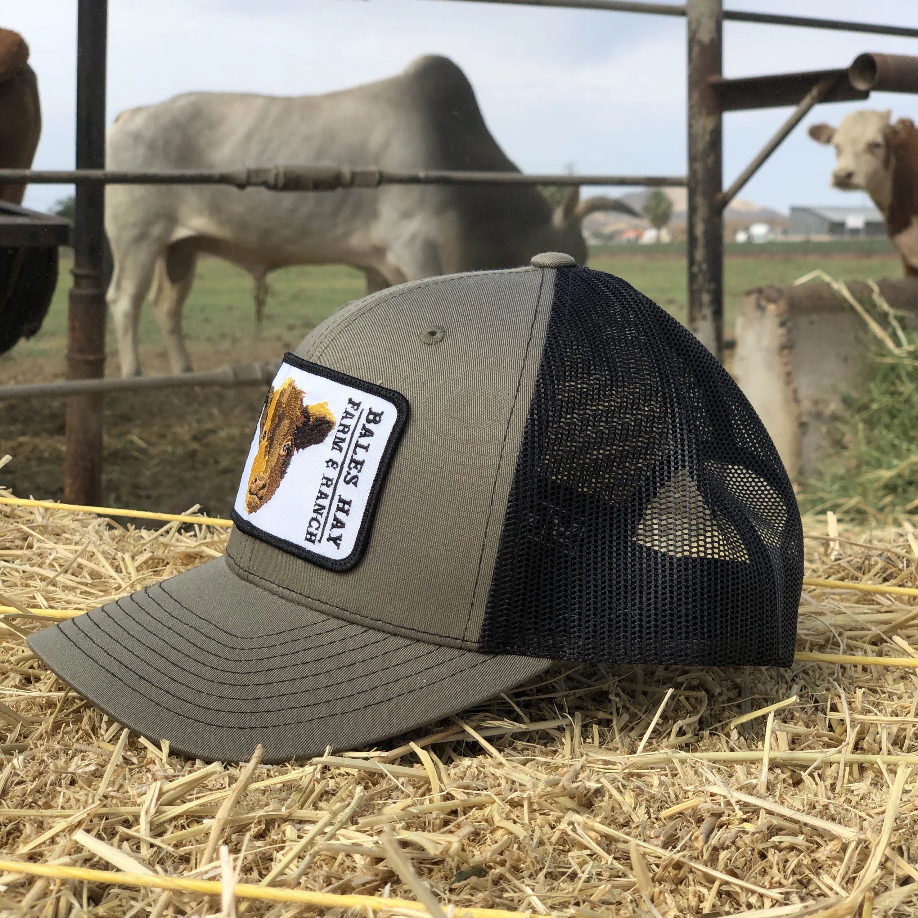 Pre Order: Bales Hay Baby Calf Patch Hat