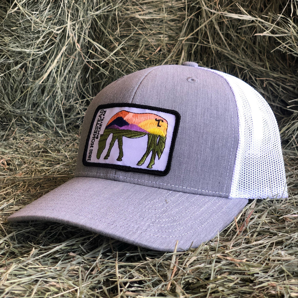 Lazy SL Scenic horse Hat Curved Bill [2 Colors]
