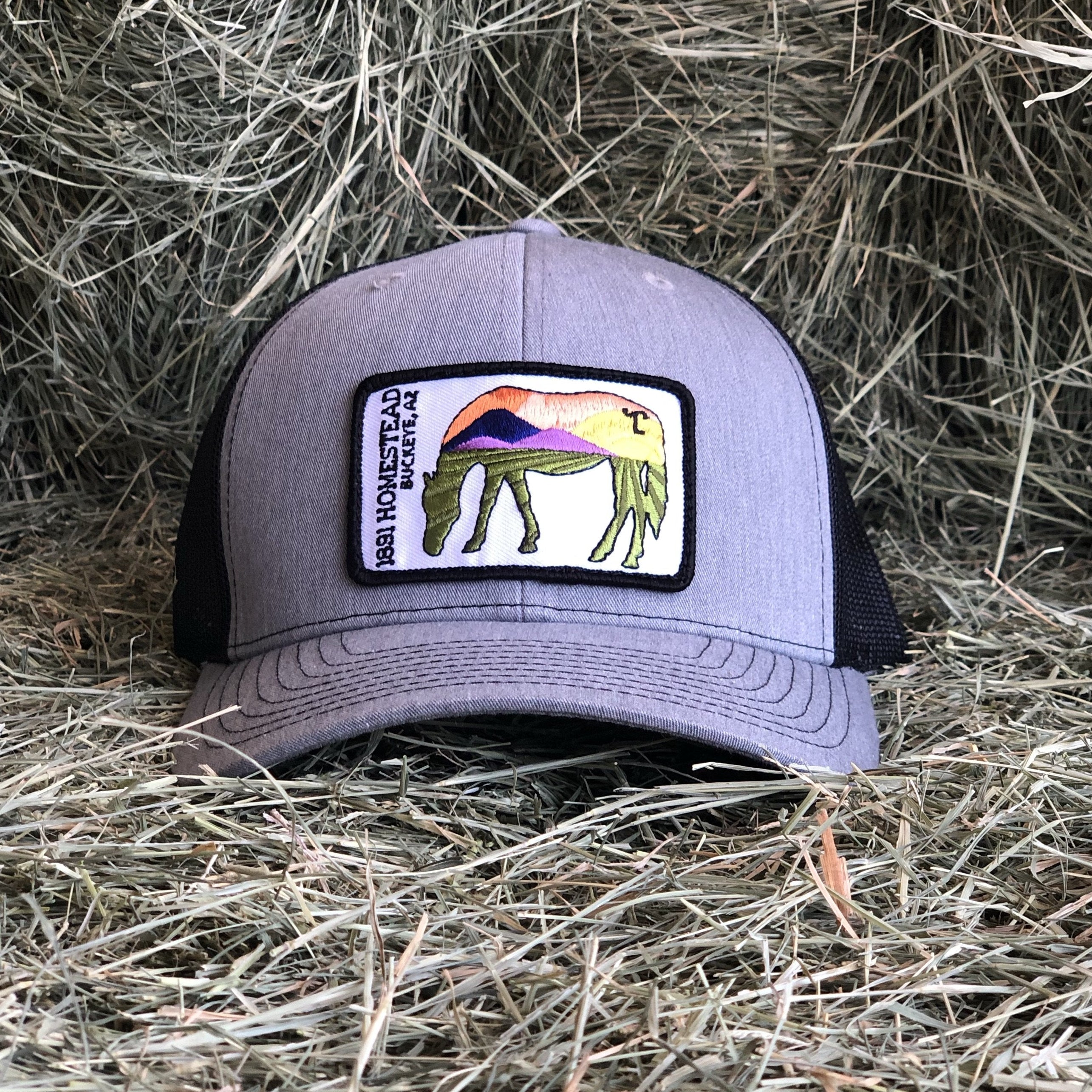 Lazy SL Scenic horse Hat Curved Bill [2 Colors]
