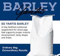 Sunglo- Yantis Barley