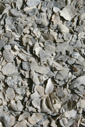 Western Seed Co - Oyster Shell - 5#