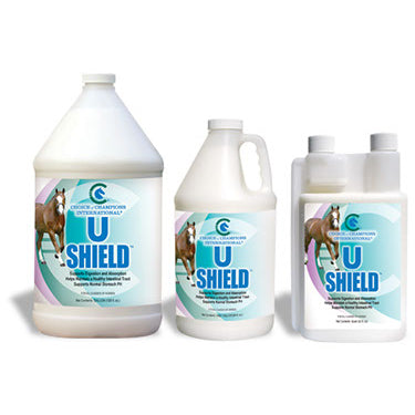 U Shield - Choice of Champions [Multiple Sizes]
