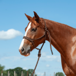 Cashel - Flat Braid halter & 9' Leadrope