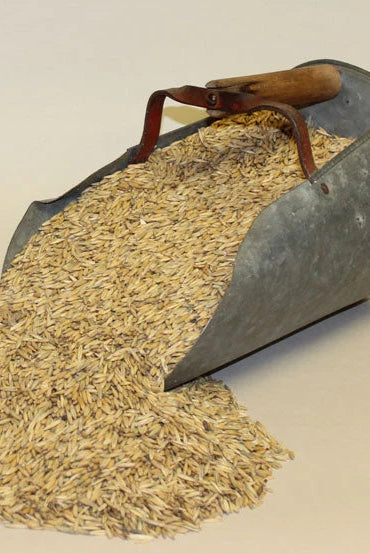 50# Recleaned Whole Oats