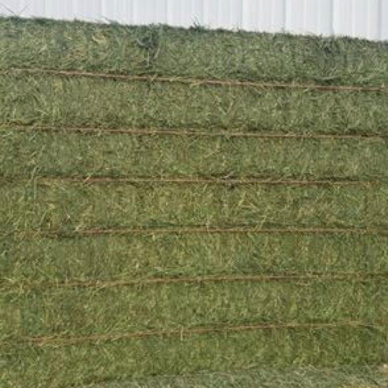 Alfalfa Big Bales $190