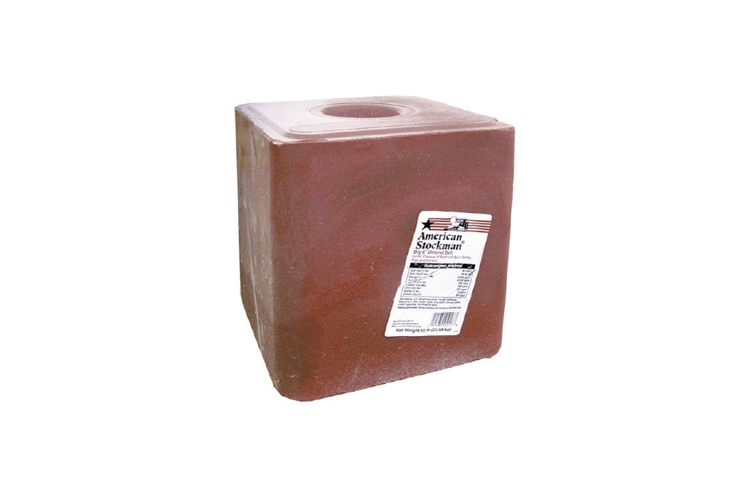 Ranch House - Trace Mineralized Salt Block - 50#