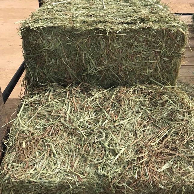 Paca Verde $14.50