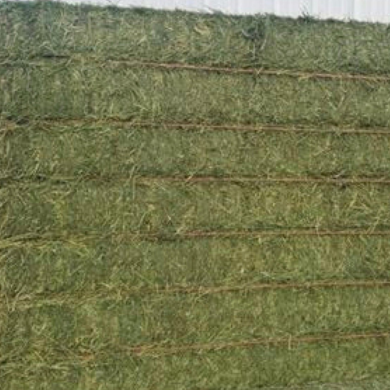 Alfalfa Big Bales $160