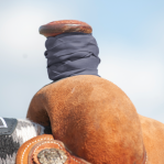 Premium Roper Dally Wraps (10 pack)